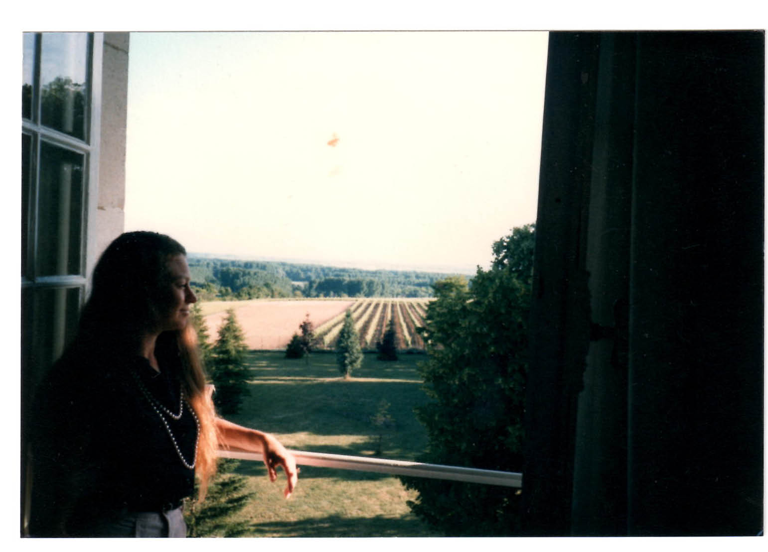 I am overlooking a vineyard in the Loire Valley in France.