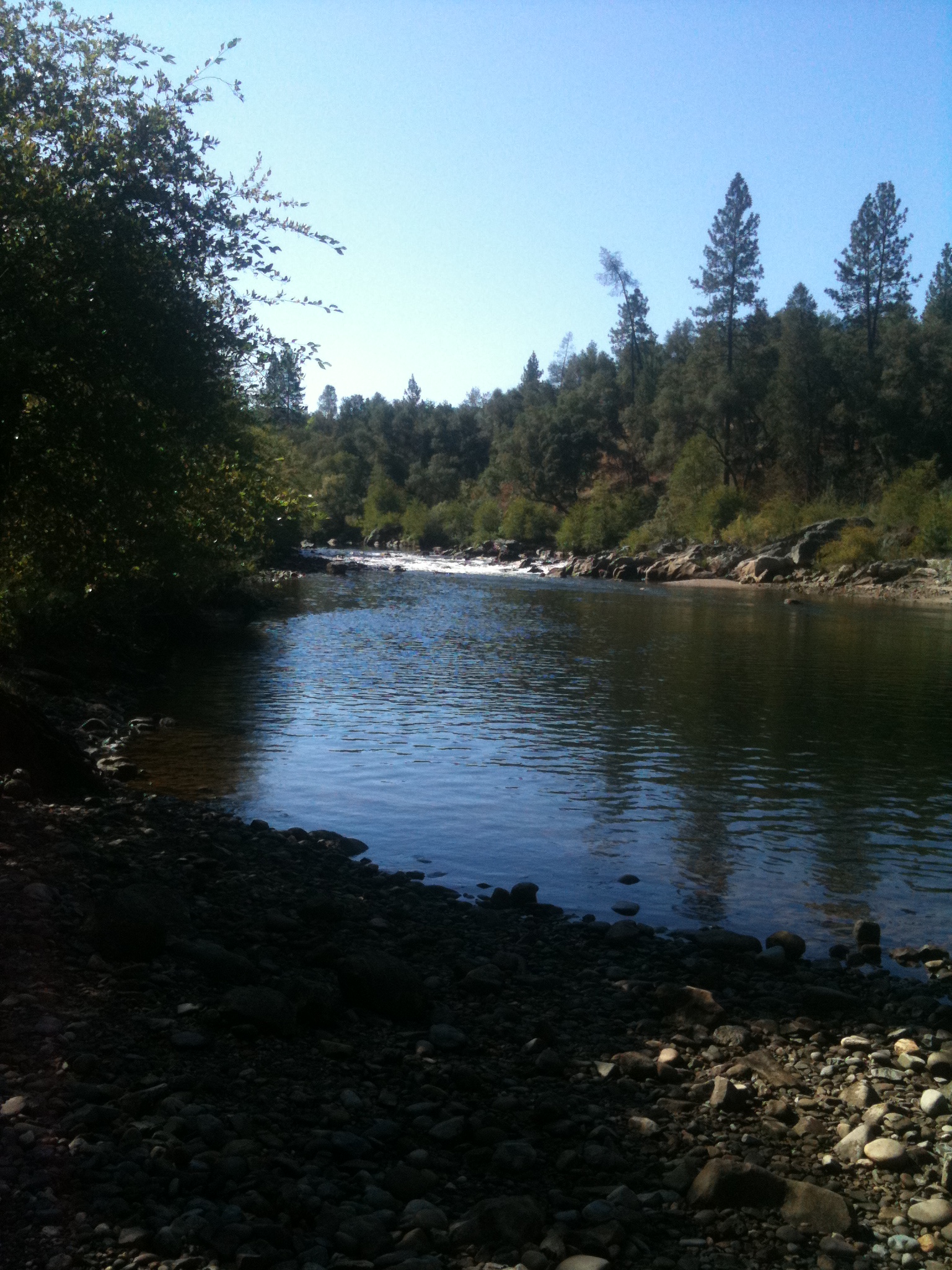 Russian River Peace